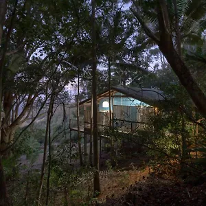 Lodge Treetops Seaview