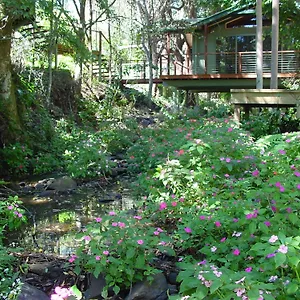 Resort Treetops