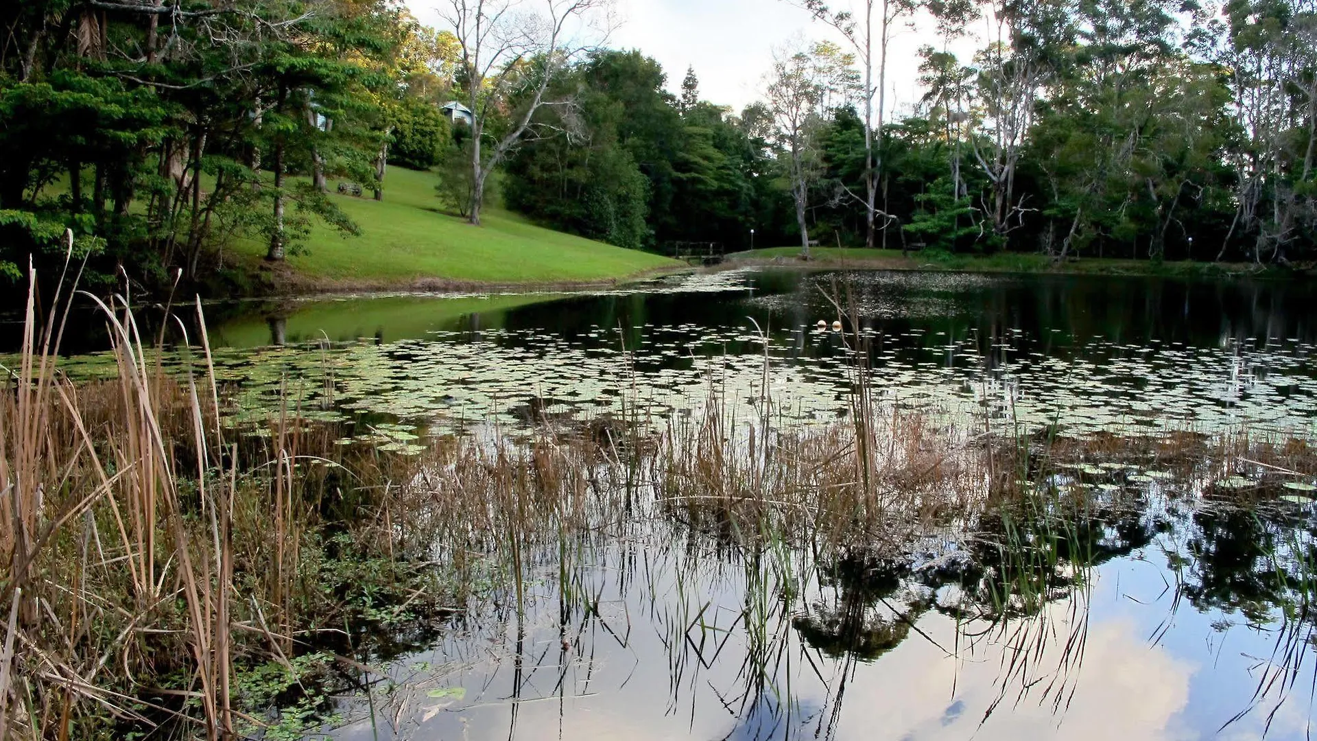 Montville Country Cabins Australia