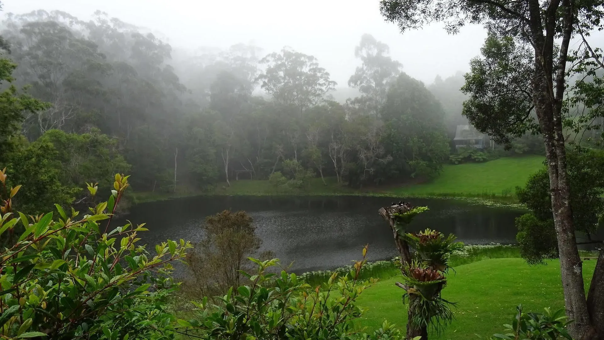 *** Holiday park Montville Country Cabins Australia